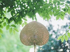 夏至來臨，最熱模式即將開啟，你準(zhǔn)備好了嗎？