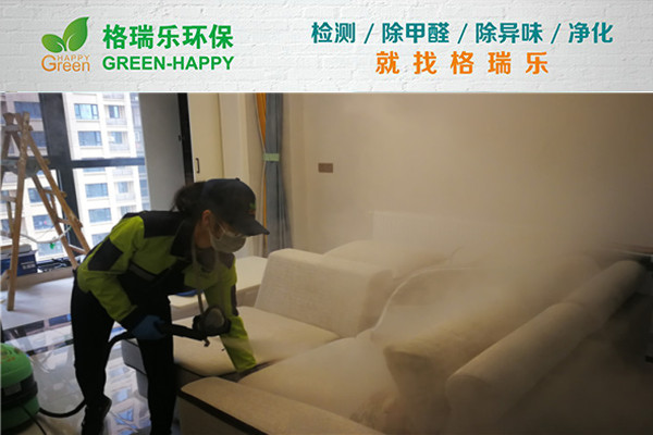 武漢除甲醛案例-和雅東方