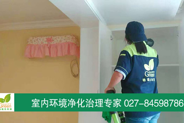 漢陽(yáng)玫瑰街小區(qū)業(yè)主新房除甲醛