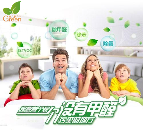 有效除甲醛給自己安全的家