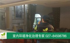 武漢市經(jīng)開東方夏威夷別墅甲醛治理