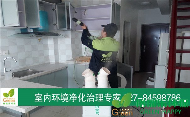 甲醛治理，甲醛污染，格瑞樂，武漢除甲醛，漢口天下晶立方