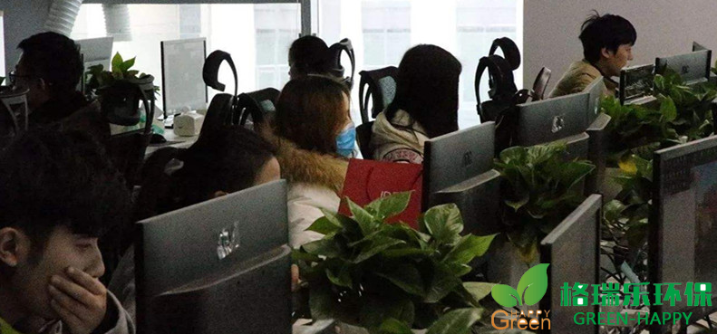 甲醛治理，甲醛污染，格瑞樂，武漢除甲醛，凈化委湖北中心