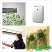 如何去除新房甲醛？