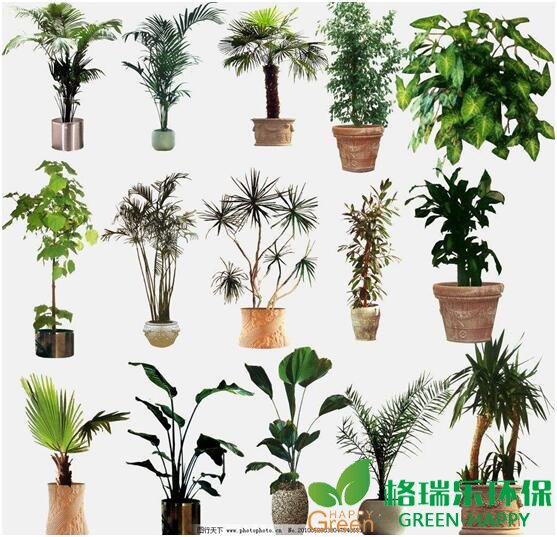 甲醛治理，甲醛污染，格瑞樂，武漢除甲醛，