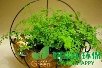 武漢除甲醛，甲醛治理