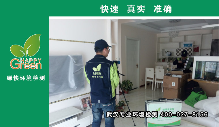 甲醛治理，甲醛污染，格瑞樂，武漢除甲醛，光谷水晶麗都