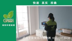 武漢陽光100大湖第新房甲醛檢測