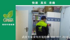 武漢市洪山區(qū)楊春湖畔新房甲醛檢測(cè)