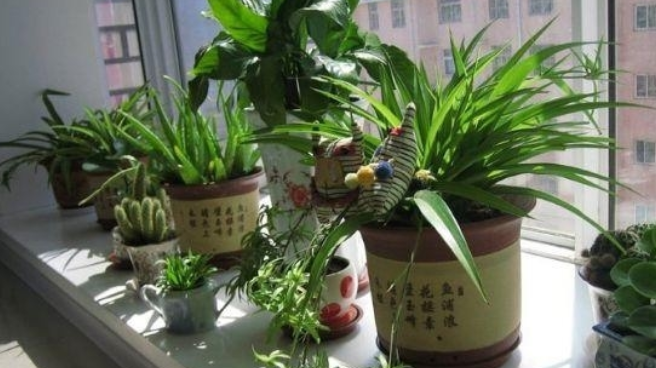 室內(nèi)除甲醛的六大方法介紹！