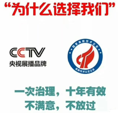 除甲醛公司如何選擇？