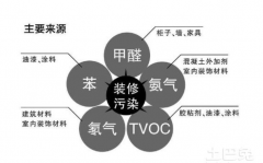 漢陽有沒有除甲醛的？