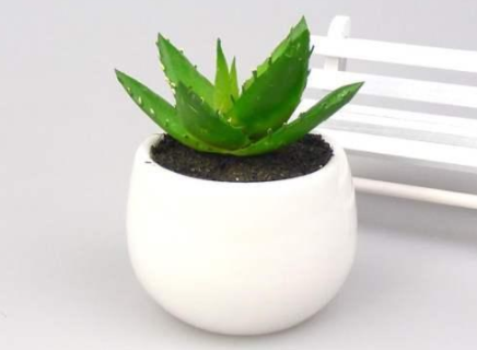 甲醛的克星是什么？