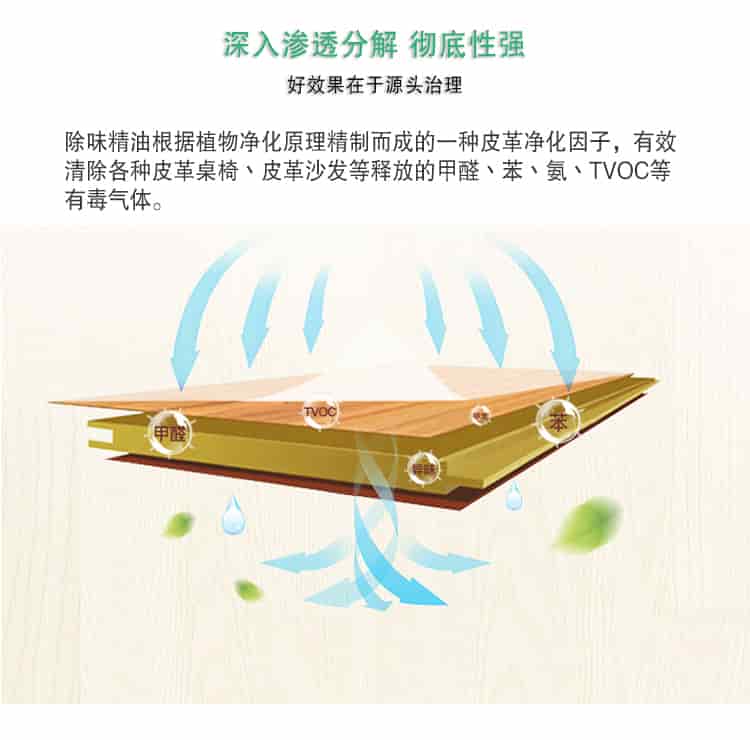 深入滲透分解 徹底性強(qiáng)，好效果在于源頭治理，除味精油根據(jù)植物凈化原理精制而成的一種皮革凈化因子，有效清除各種皮革桌椅丶皮革沙發(fā)等釋放的甲醛丶苯丶氨丶TVOC等 有毒氣體。