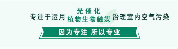 強(qiáng)效滲透式分解 滲透分解技術(shù) 長(zhǎng)久有效 板材解剖面 植物生物觸媒涂膜