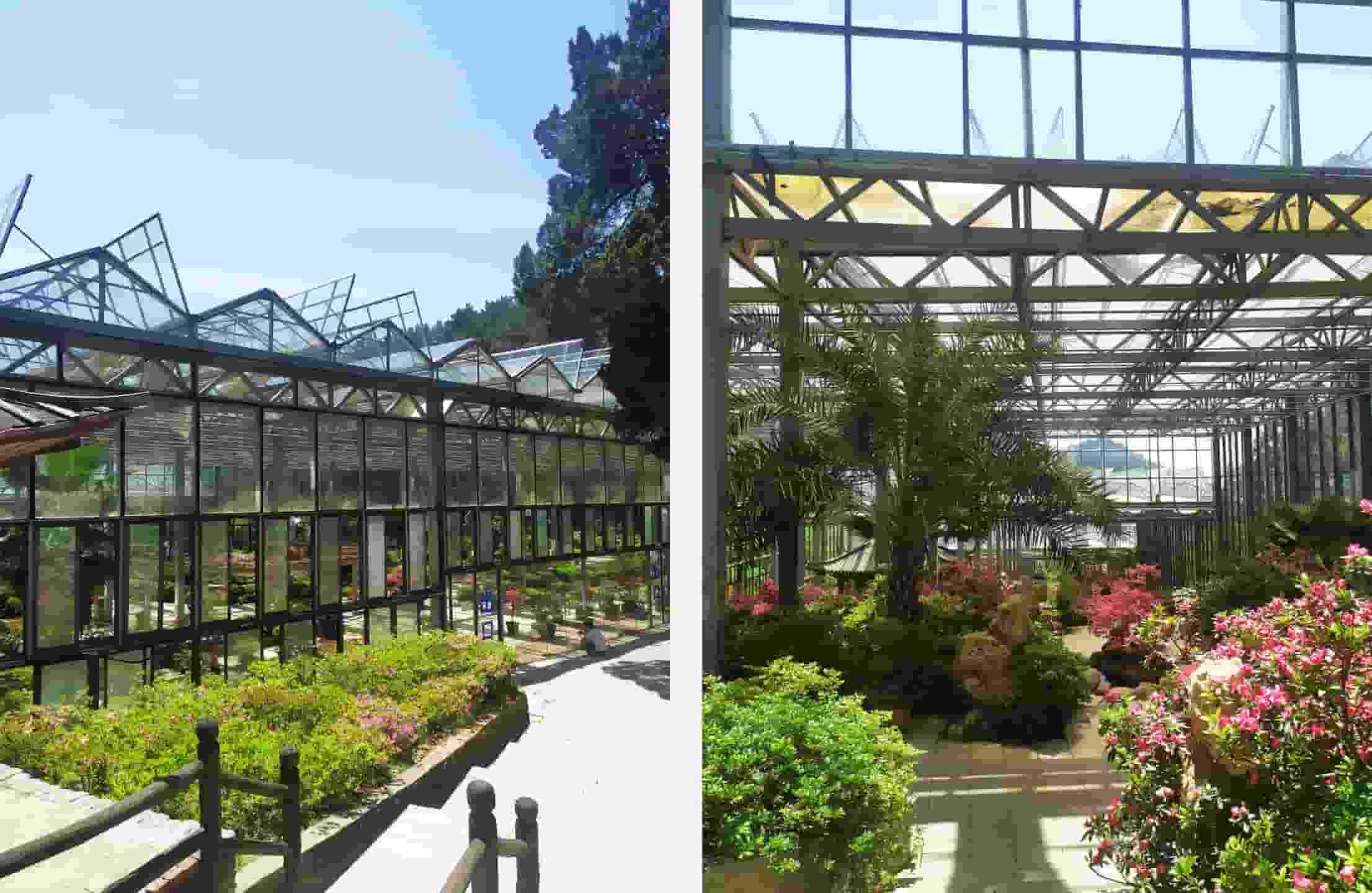 博覽園內(nèi)的景色可謂是一絕，粉、白、紅三色不同的杜鵑花競相開放，搭配著小型奇石圍成的小池別有一般風味，讓人不由深陷其中，流連忘返。