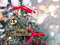 喜迎圣誕,什么是真正的圣誕節(jié)