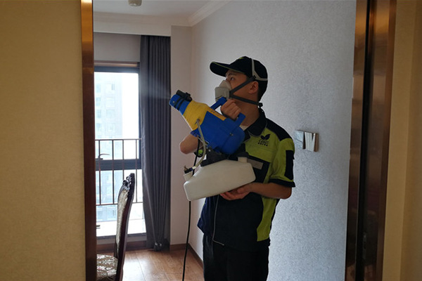 武漢除甲醛,專業(yè)除甲醛,新房除甲醛,除甲醛公司
