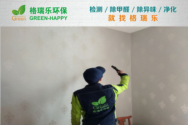 武漢室內(nèi)甲醛治理,室內(nèi)空氣污染治理,專業(yè)去甲醛公司,