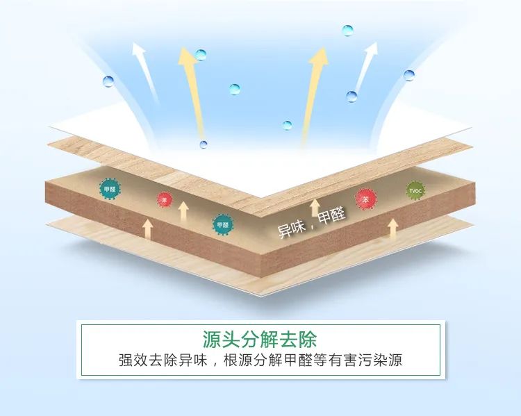 源頭分解,去除強效去除異味,根源分解甲醛等有害污染源