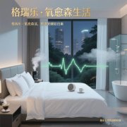 格瑞樂負(fù)氧離子，酒店客房的 “異味隔離帶”