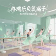 格瑞樂?氧愈森活 - 舞蹈室負(fù)氧離子生態(tài)涂層空氣凈化方