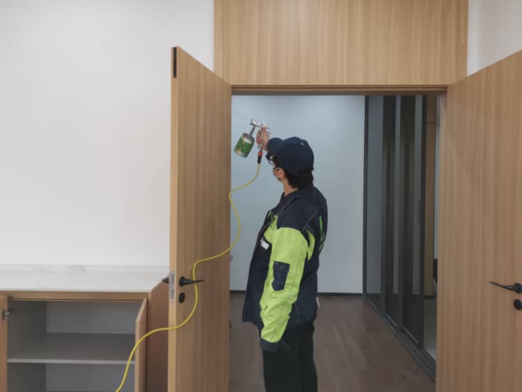 蔡甸除醛花幾多錢？格瑞樂超劃算！