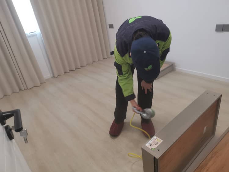 漢陽除甲醛：格瑞樂真扎實！