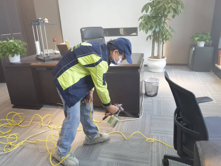 武漢新房除甲醛，這6個笨辦法蠻扎實！省錢又管用