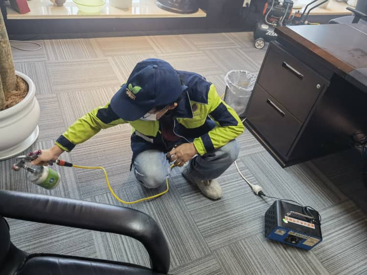 武漢業(yè)主警惕！環(huán)保家具≠無甲醛